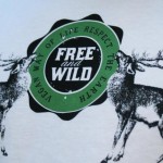 Free And Wild Zaragoza