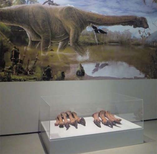 Fósiles de un dinosaurio en el Museo de Ciencias Naturales, en el Paraninfo