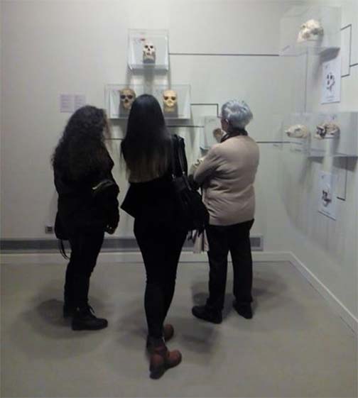 Un momento de la visita al Museo de Ciencias Naturales, en el Paraninfo