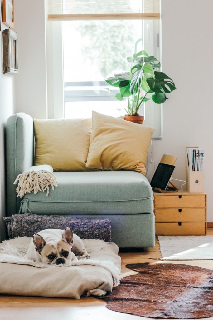 Cómo decorar tu hogar