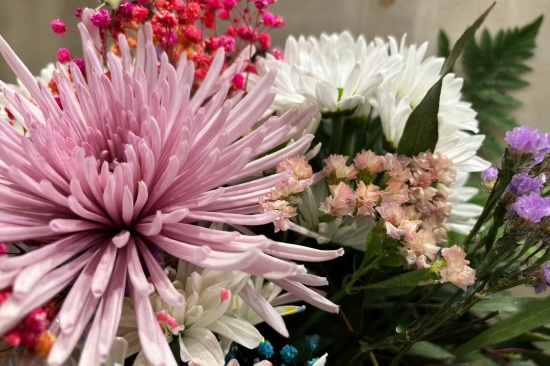 La Fábrica de Flores - flores