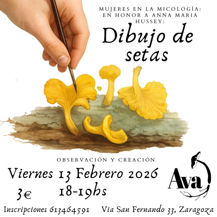 Taller – Mujeres en la Micología, en honor a Anna María Hussel: Dibujo de setas