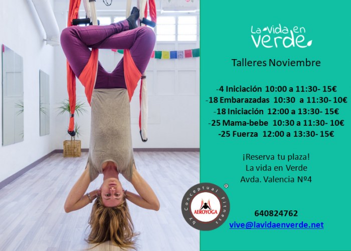Taller de iniciaciÃ³n al AeroYoga